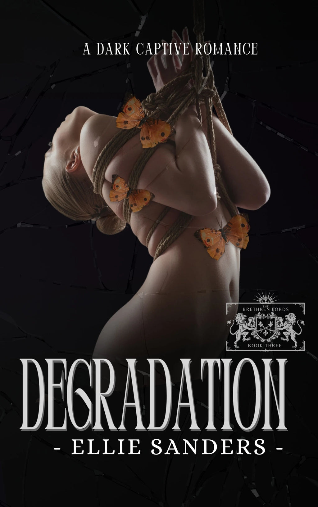 Degradation - Standard Paperback